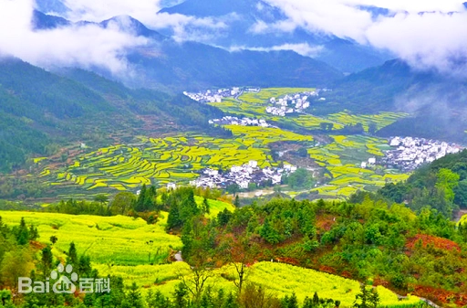 江岭梯田
