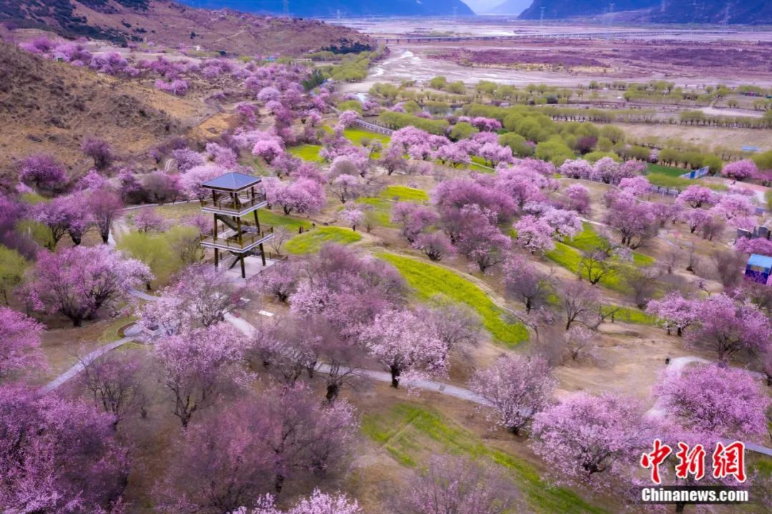 嘎拉桃花村