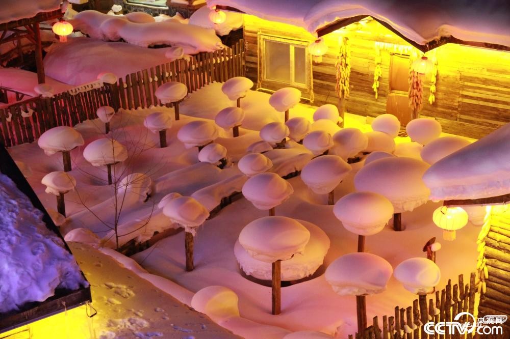 雪蘑菇
