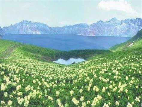高山花园
